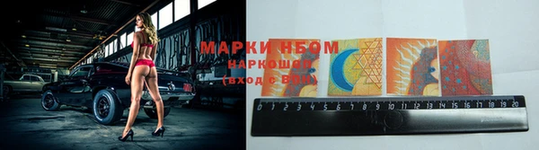 твердый Краснослободск